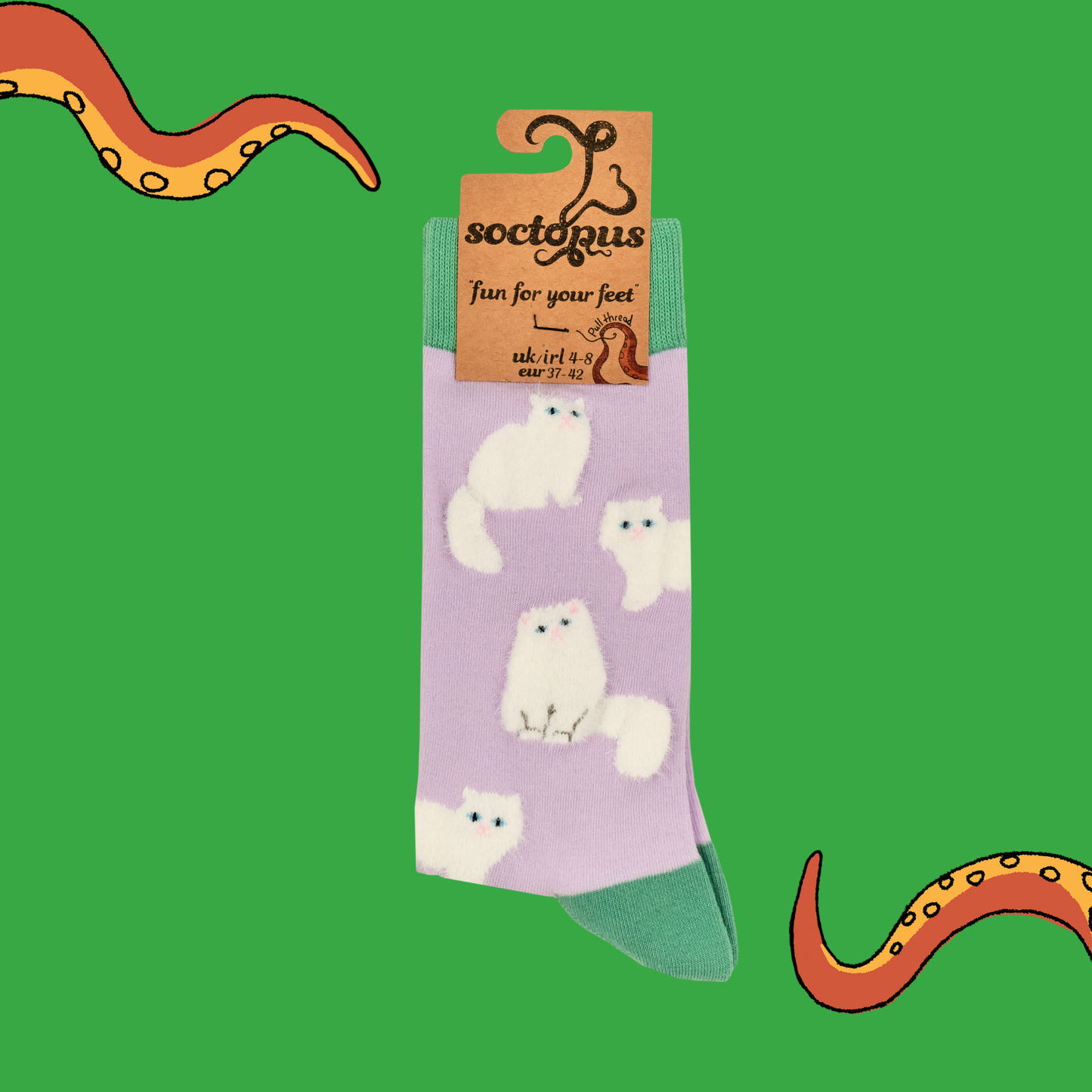 Fluffy White Cats Socks