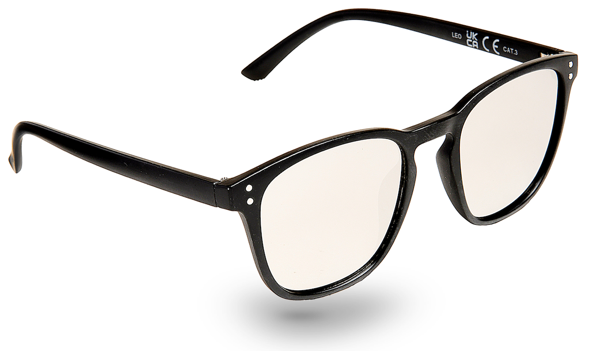 Leo Wayfarer Unisex Sunglasses