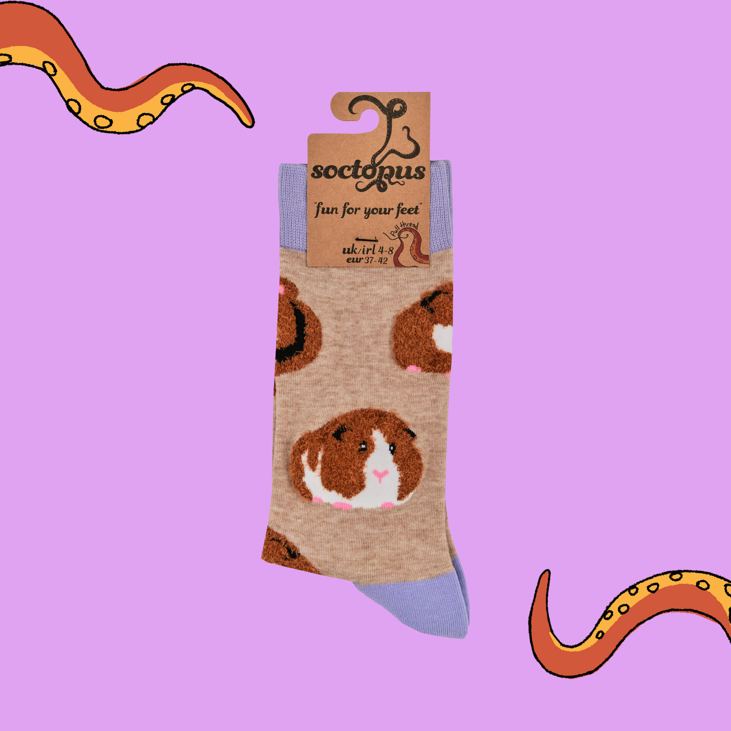 Fluffy Guinea Pigs Socks