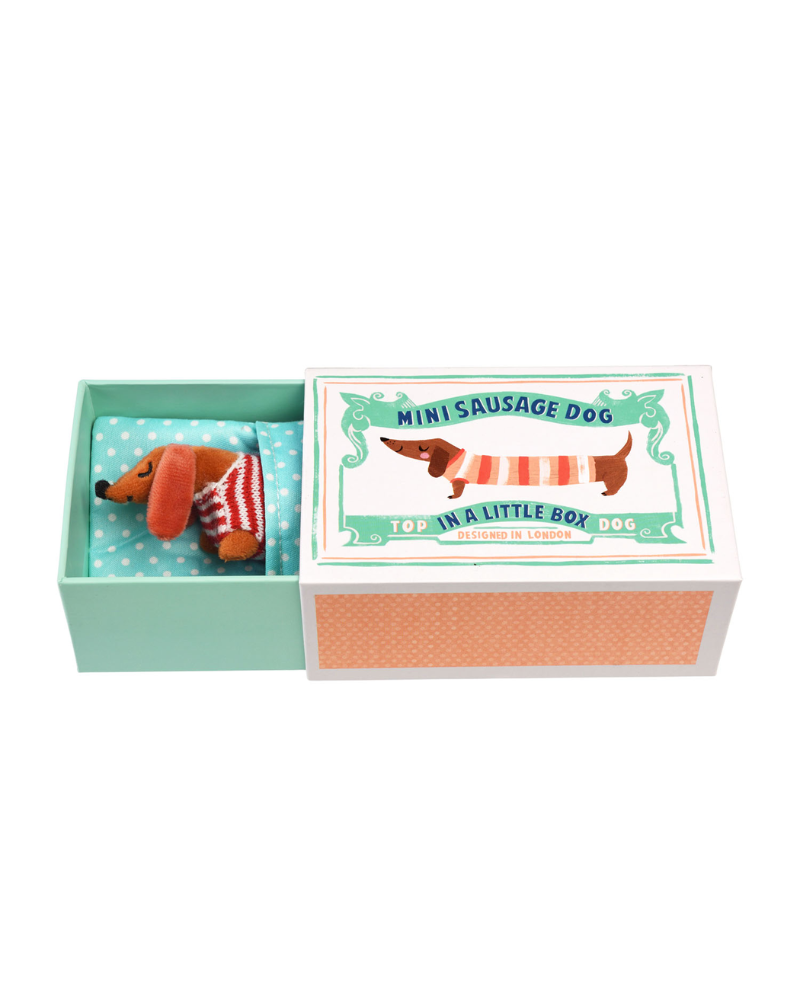 Sausage Dog In A Box Toy