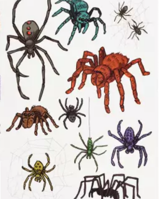 Spider Temporary Tattoos