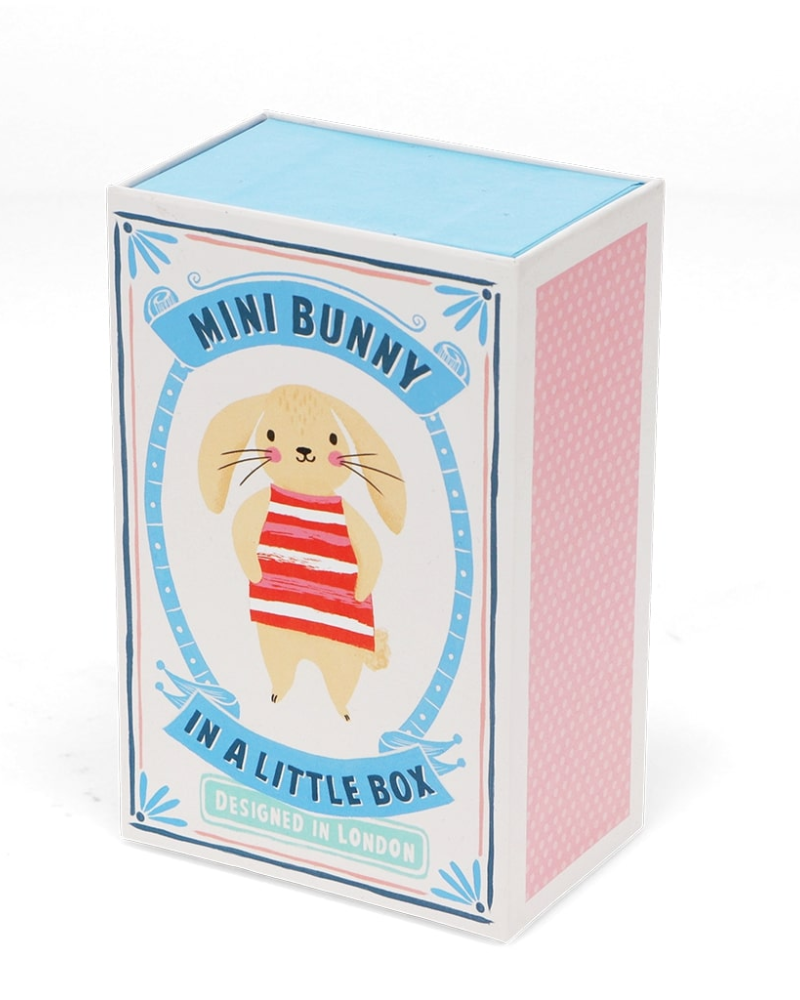 Bunny In A Box Toy