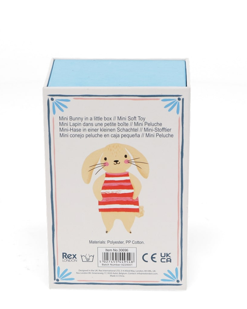 Bunny In A Box Toy
