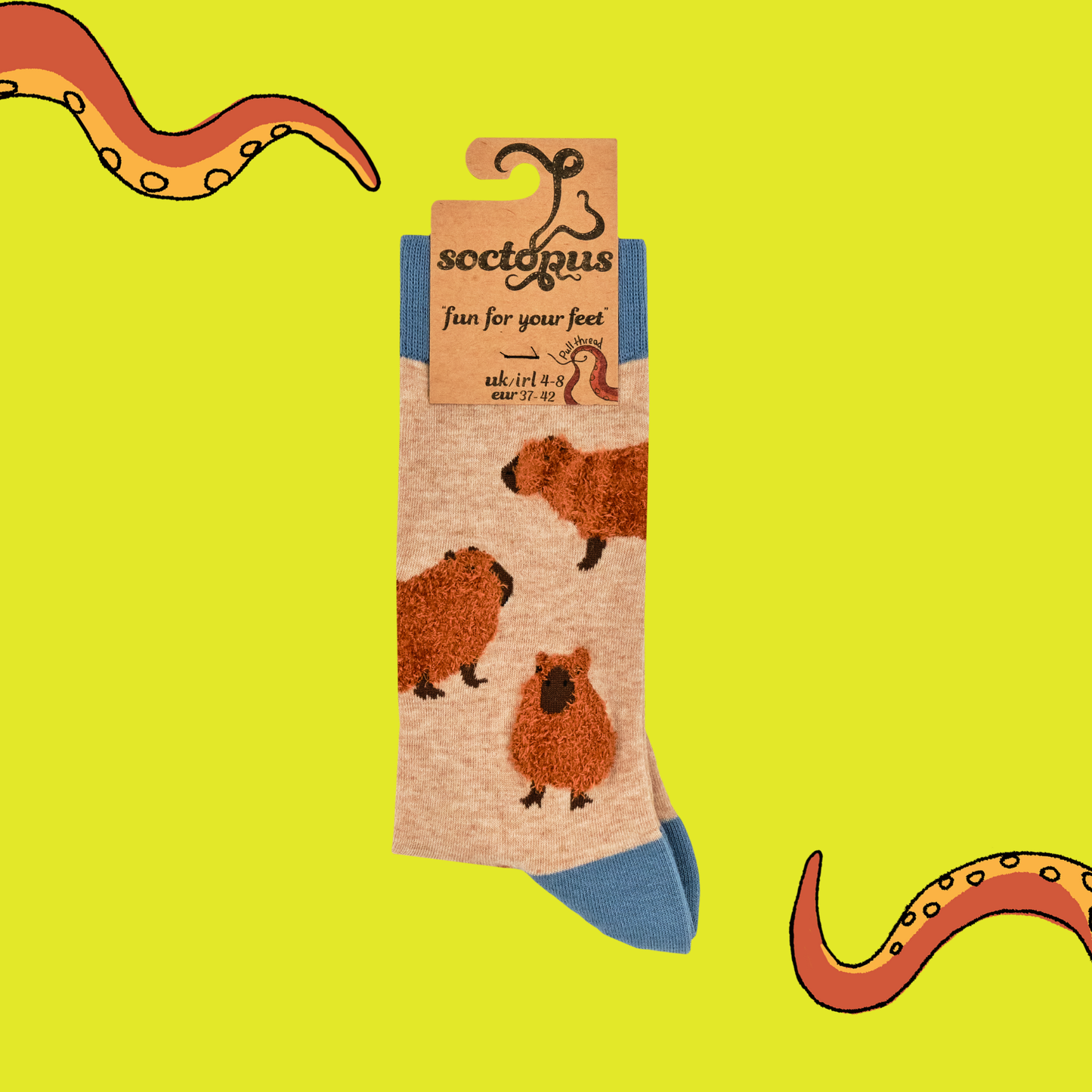 Capybara Fluffies Socks