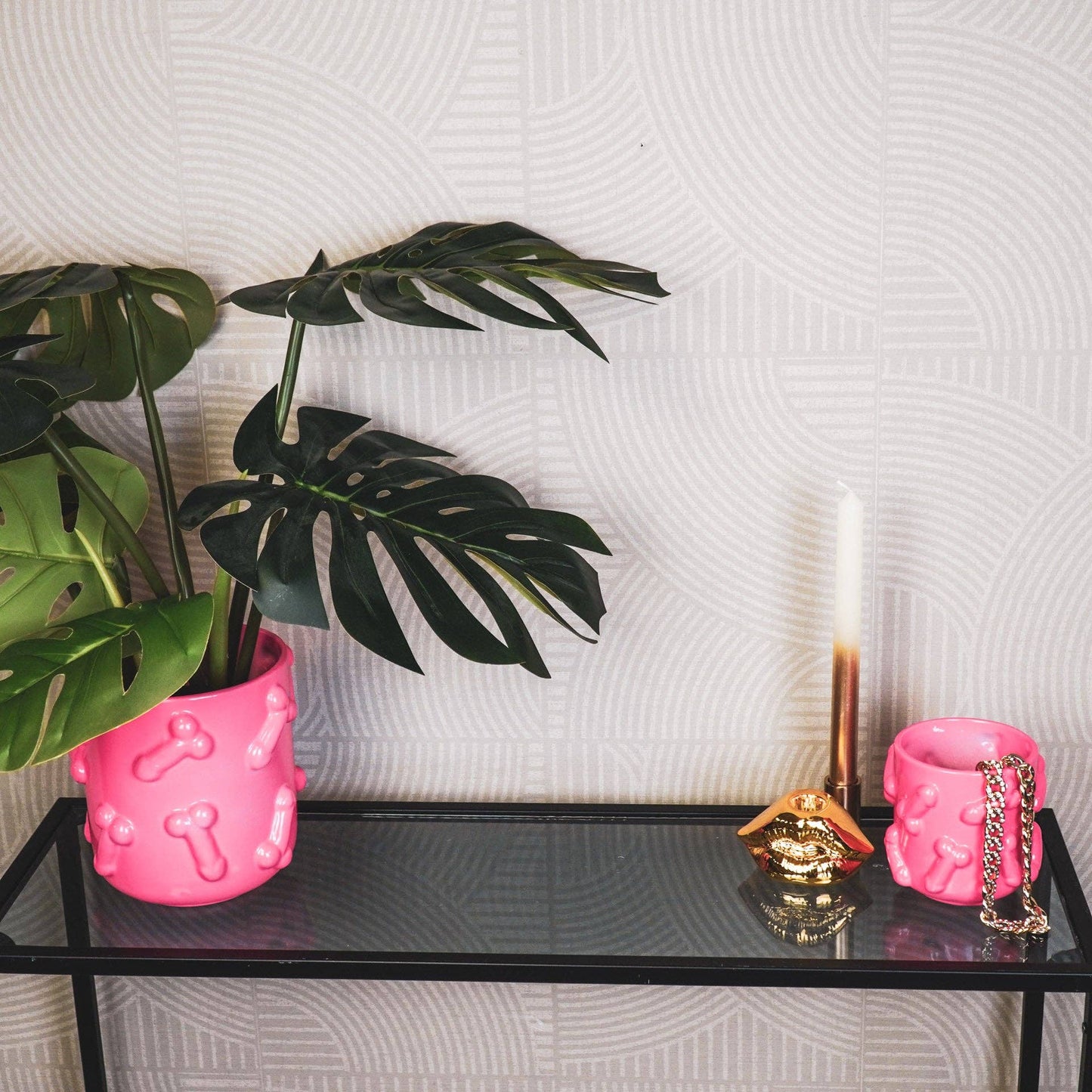 Pink Dicks Plant Pot