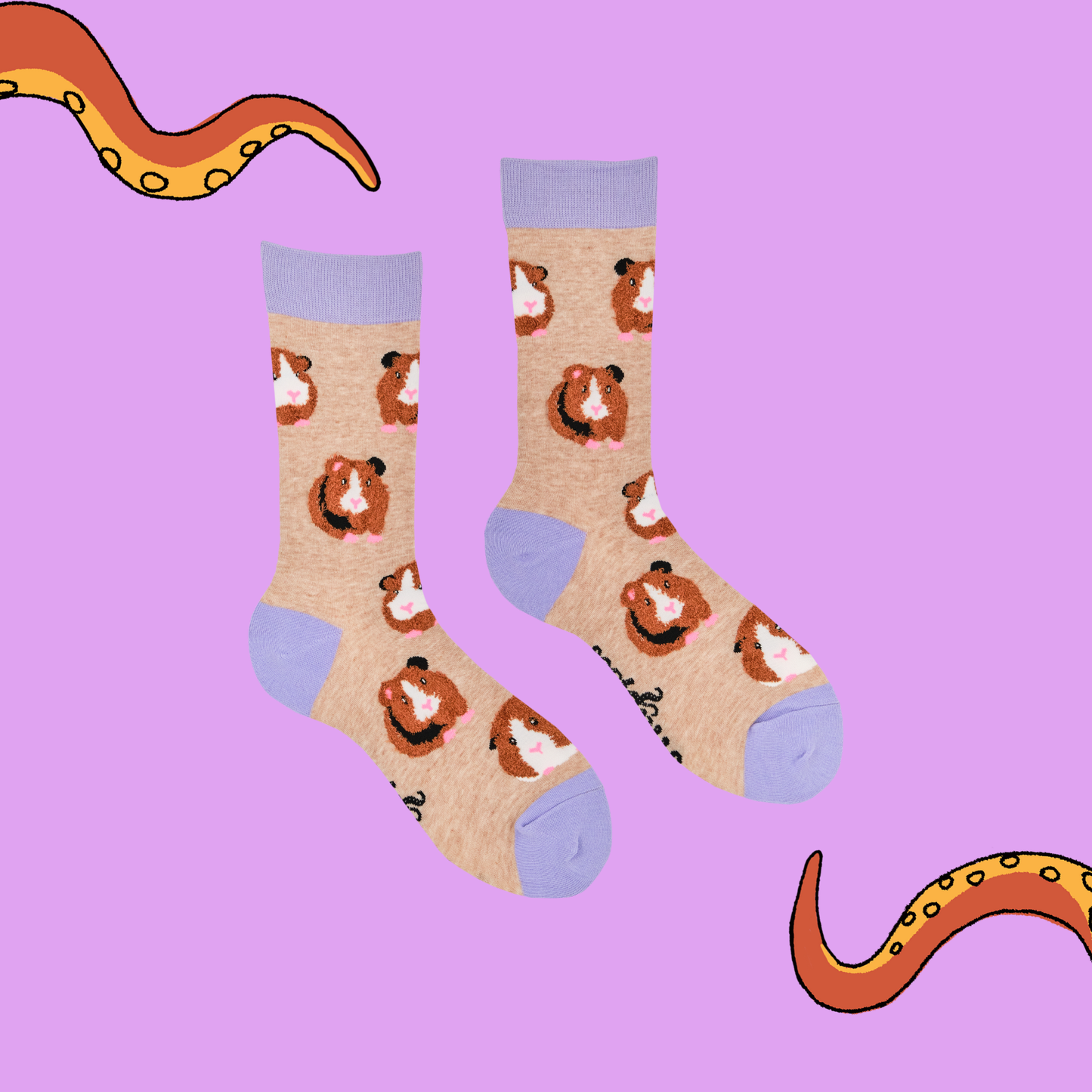 Fluffy Guinea Pigs Socks