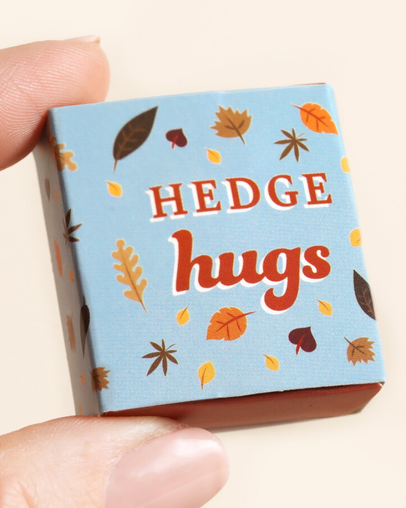 Hedgehog Tiny Ceramic Token In Matchbox