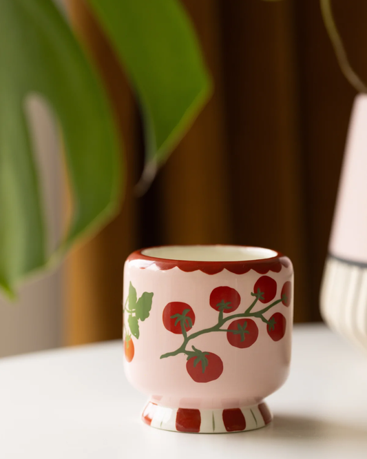 A Dopo Heirloom Tomato Ceramic Candle By Paddywax