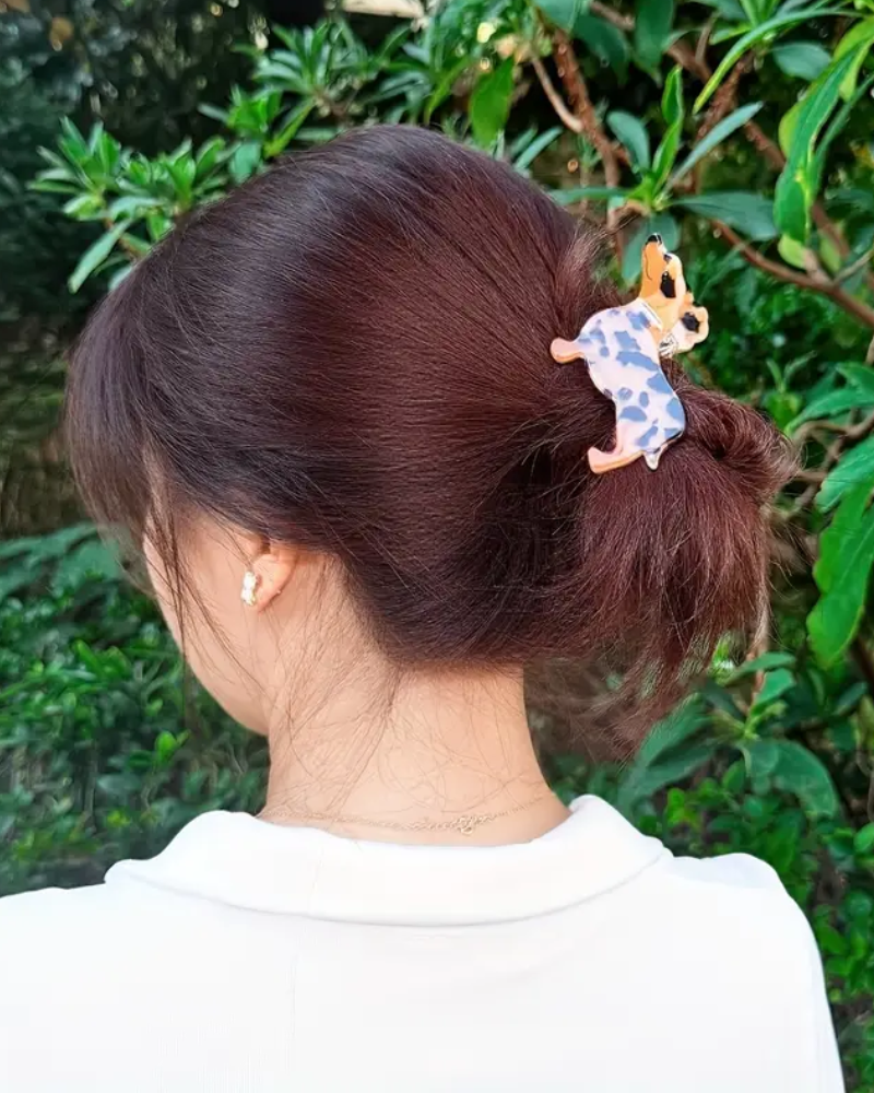 Dachshund Dog Hair Claw