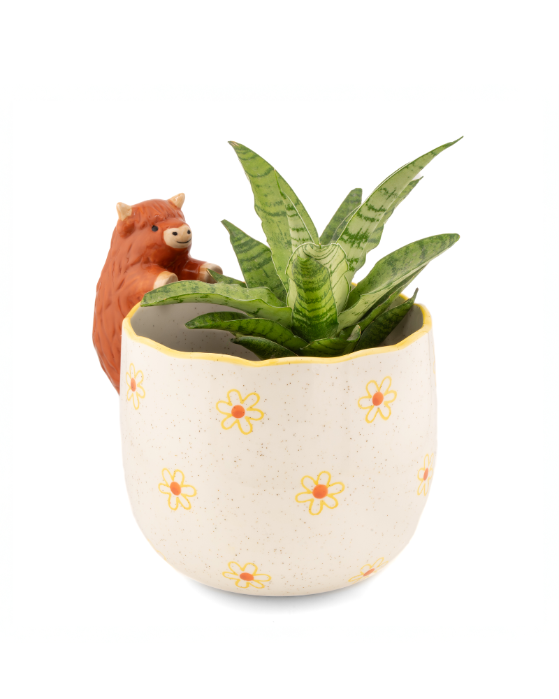 Peeking Highland Cow Planter