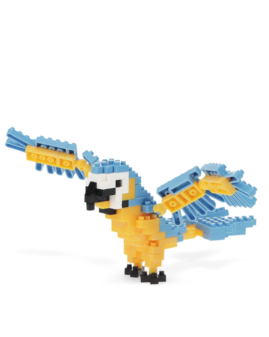Build Your Own Macaw Parrot Kit