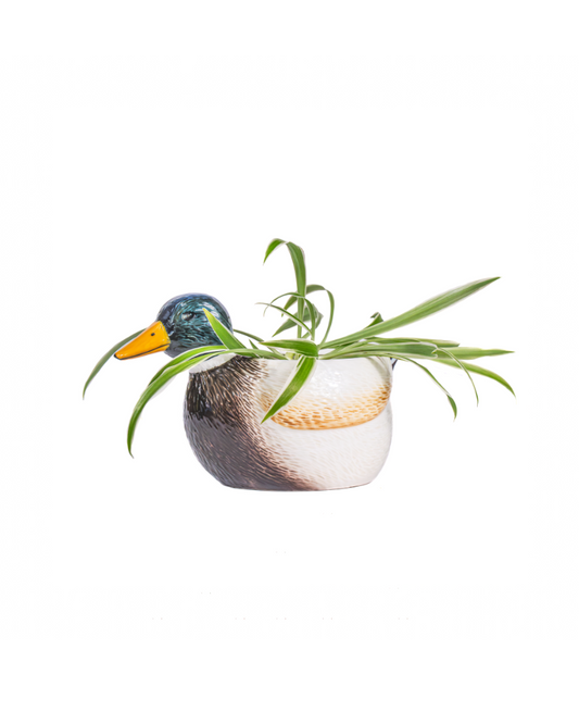 Mini Mallard Duck Planter