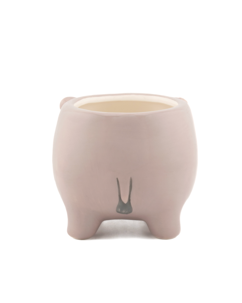 Mini Hippo Planter