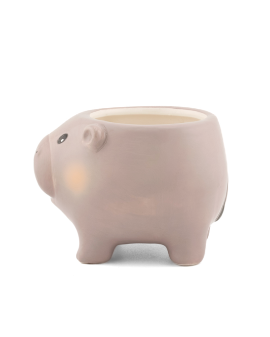 Mini Hippo Planter