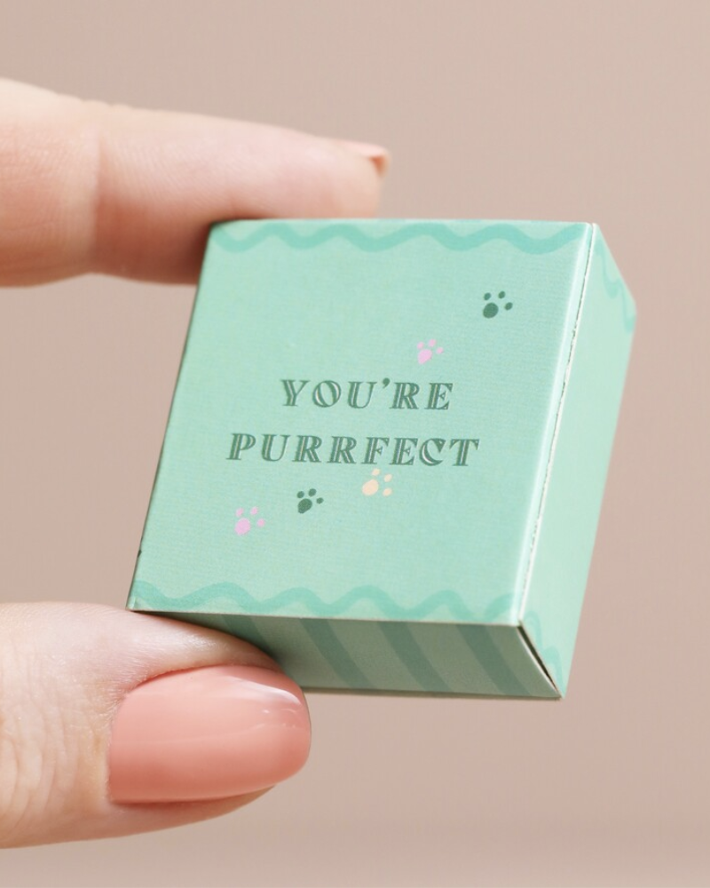 Purrfect Cat Tiny Ceramic Token In Matchbox
