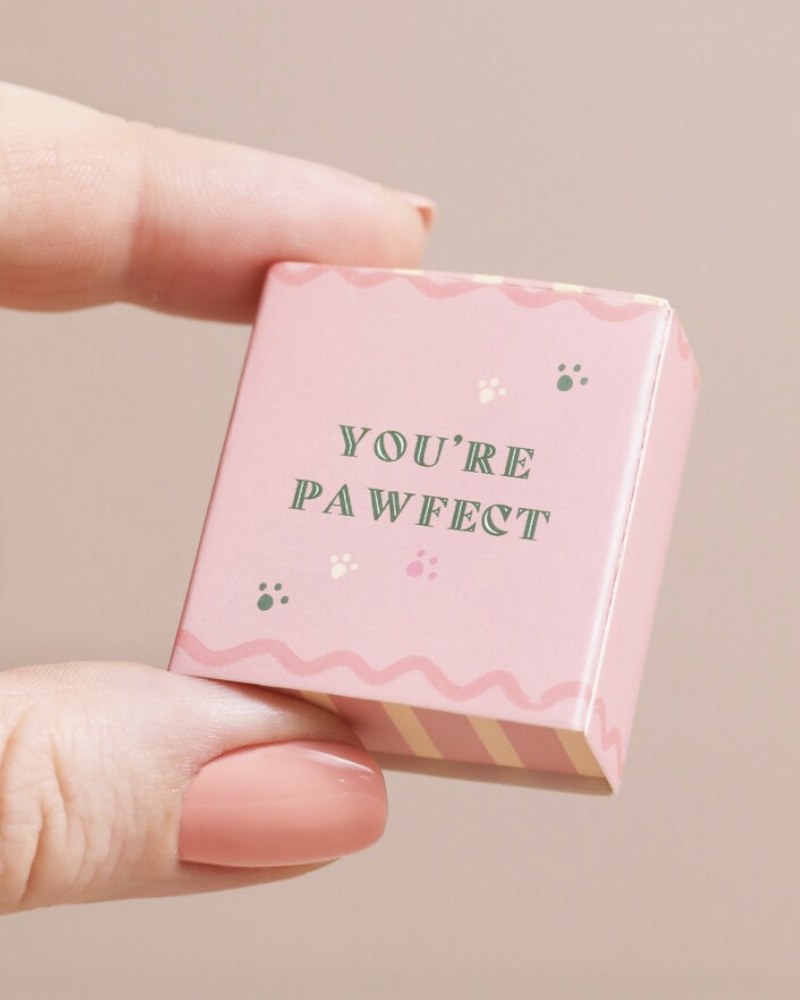 Pawsome Dog Tiny Ceramic Token In Matchbox