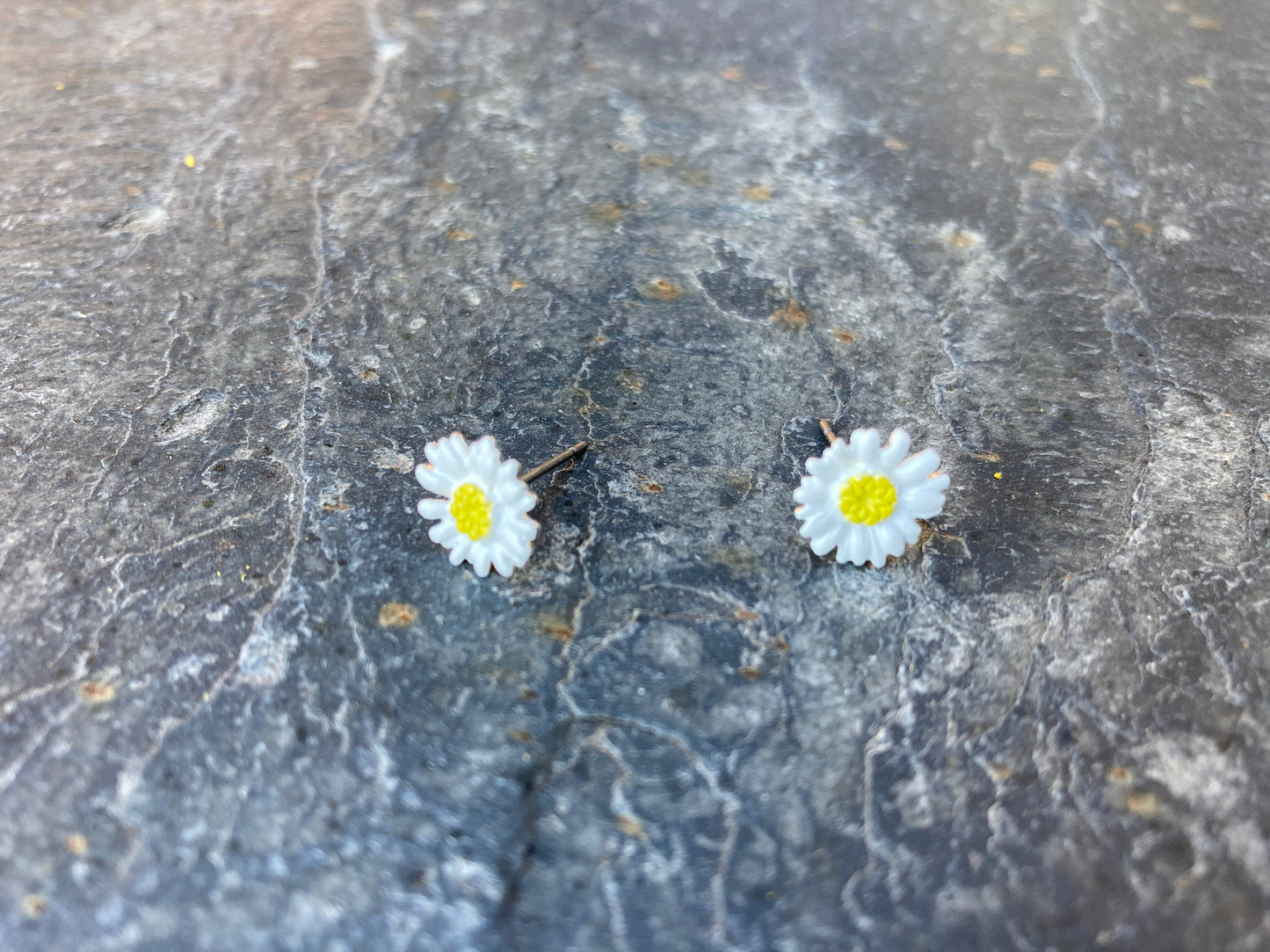 Daisy White Flower Stud Earrings