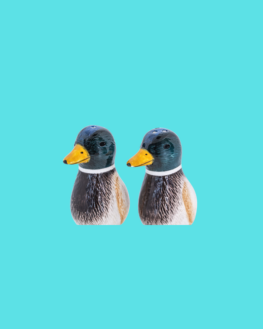 Mallard Duck Salt And Pepper Set