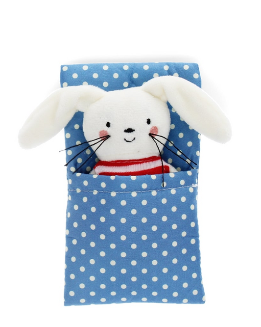 Bunny In A Box Toy