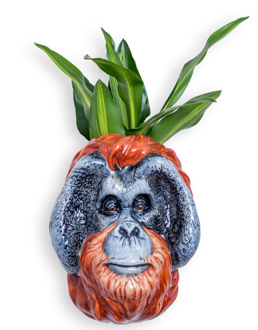 Hand Painted Ceramic Orangutan Head Wall Vase