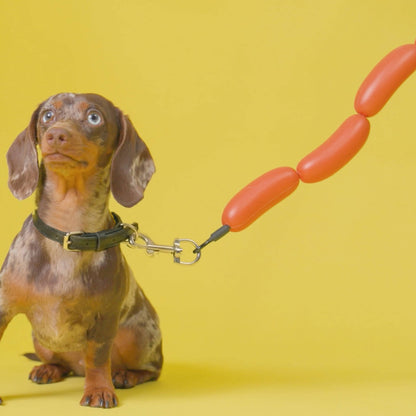 Novelty Hotdog Dog Leash 110cm