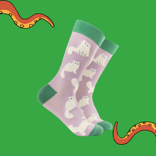 Fluffy White Cats Socks