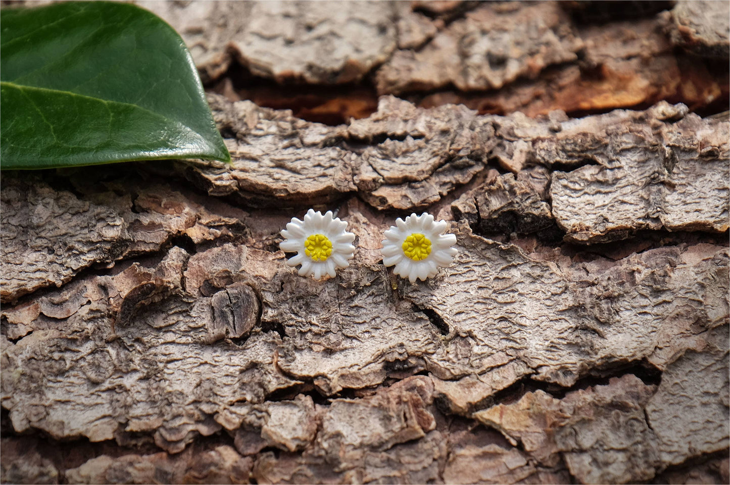 Daisy White Flower Stud Earrings