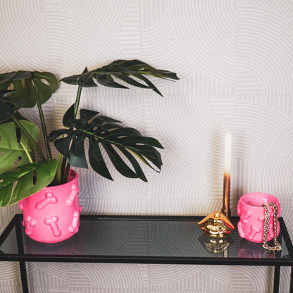 Pink Dicks Plant Pot