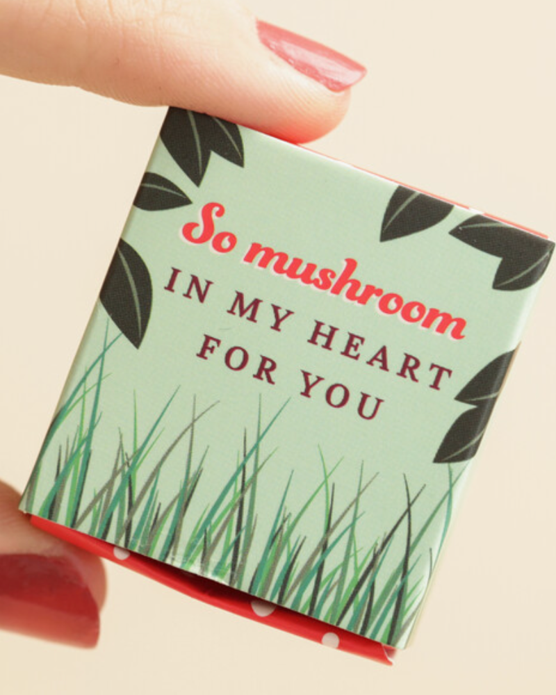 Mushroom Tiny Ceramic Token In Matchbox