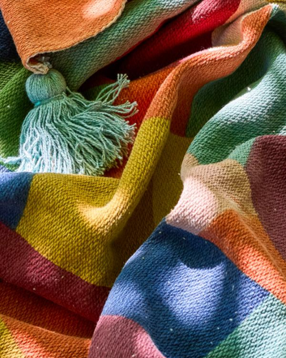 Colorine Throw Blanket