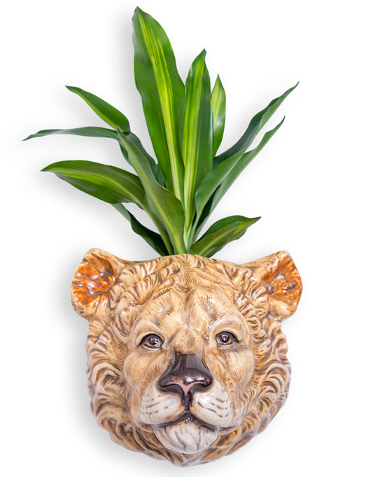 Hand Painted Ceramic Lioness Head Wall Vase