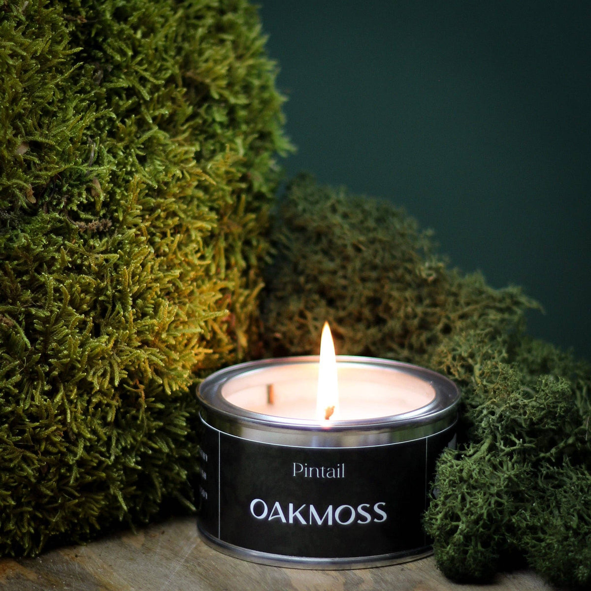 Oakmoss Paint Pot