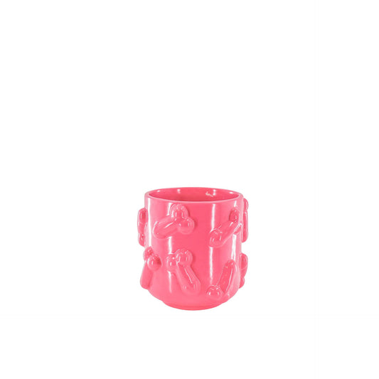 Pink Dicks Plant Pot