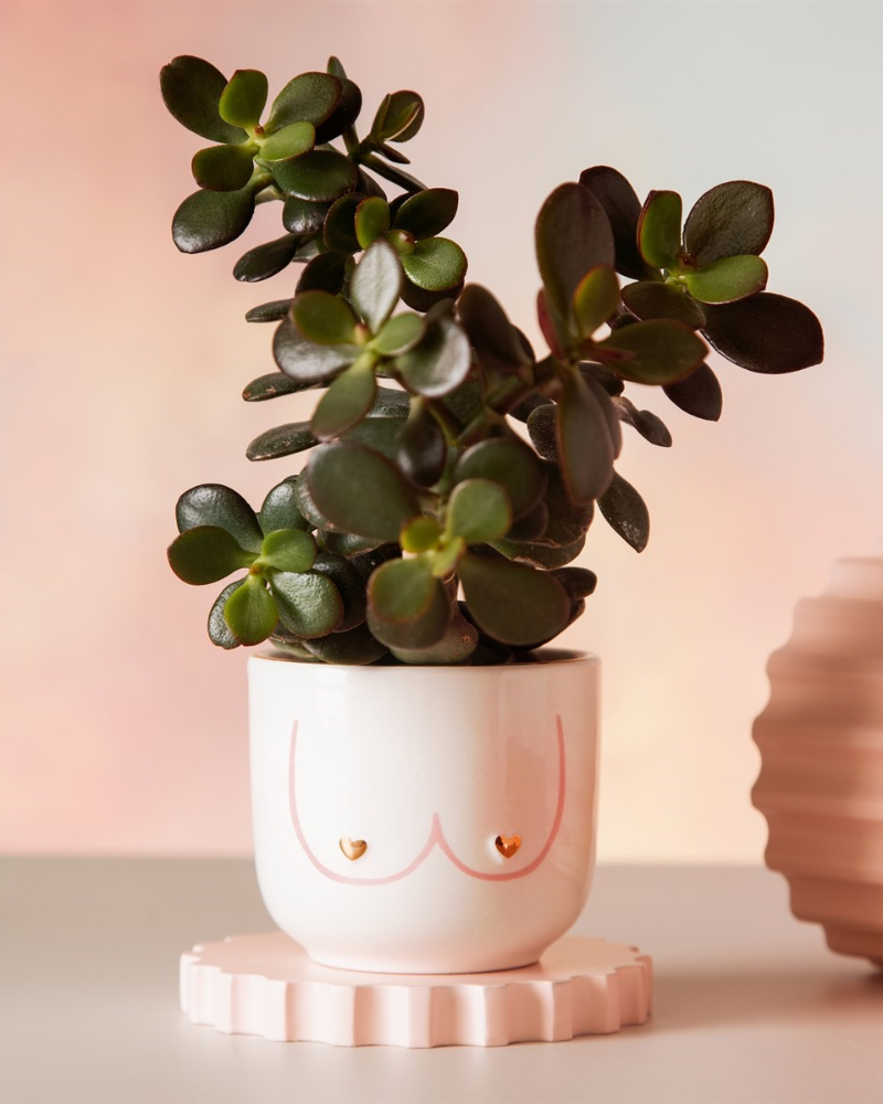 Boobies Girl Power Mini Planter