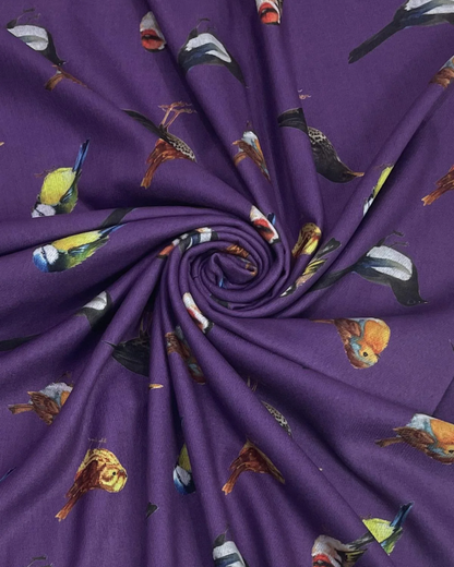British Wildlife Birds Print Tassel Scarf