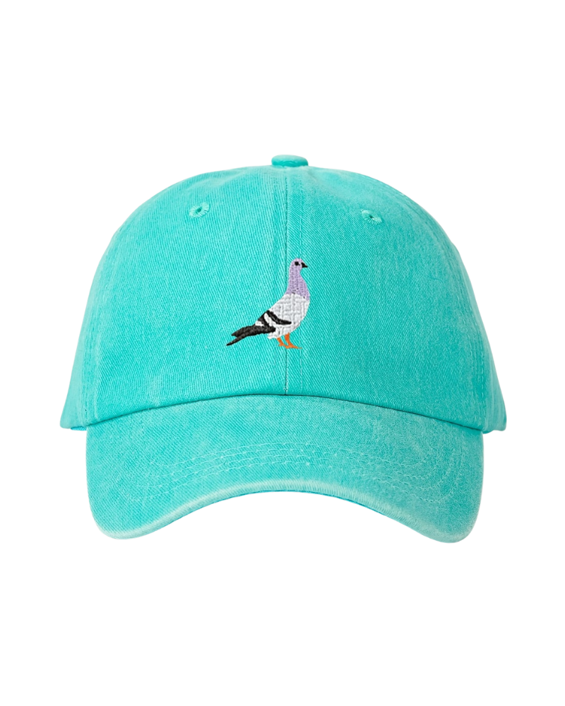 Embroidered Pigeon Trucker Cap Lake Blue