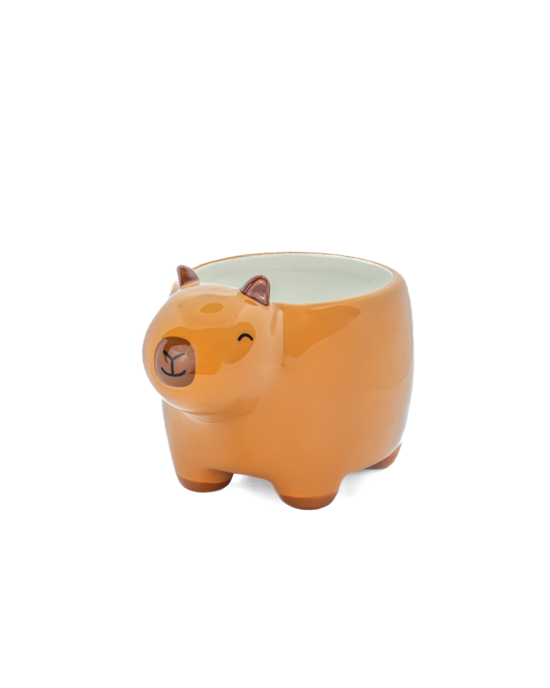 Mini Capybara Planter
