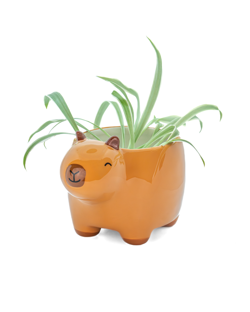 Mini Capybara Planter