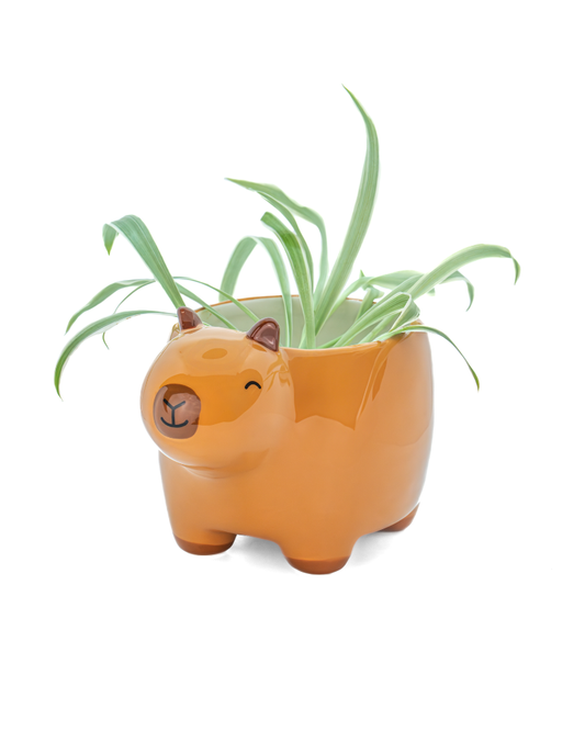 Mini Capybara Planter