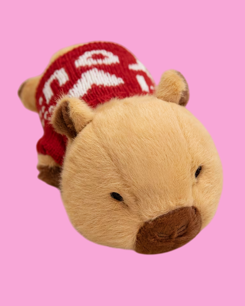 Capybara Plushie With Heart Jumper