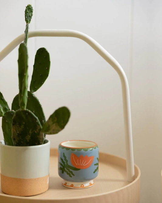 Cactus Flower A Dopo Ceramic Candle