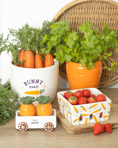 Carrot Shaped Planter With Parsley Seeds