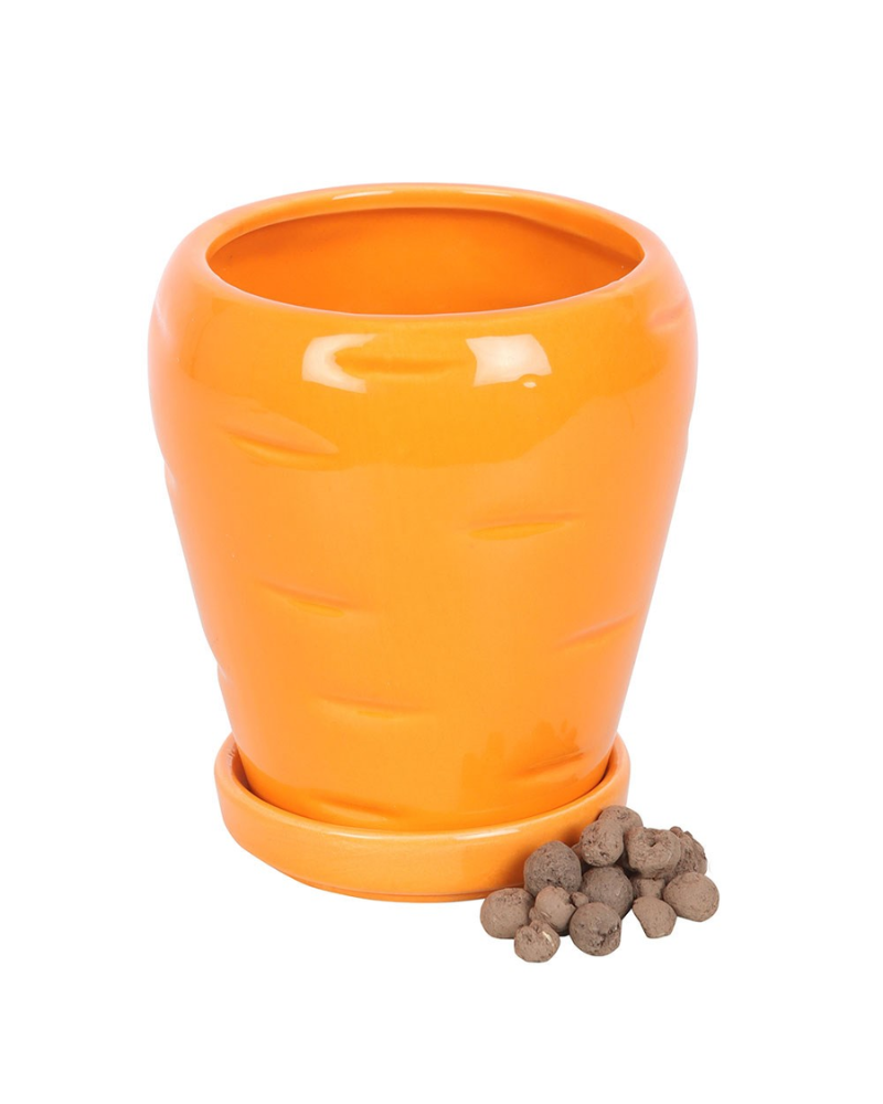 Carrot Shaped Planter With Parsley Seeds