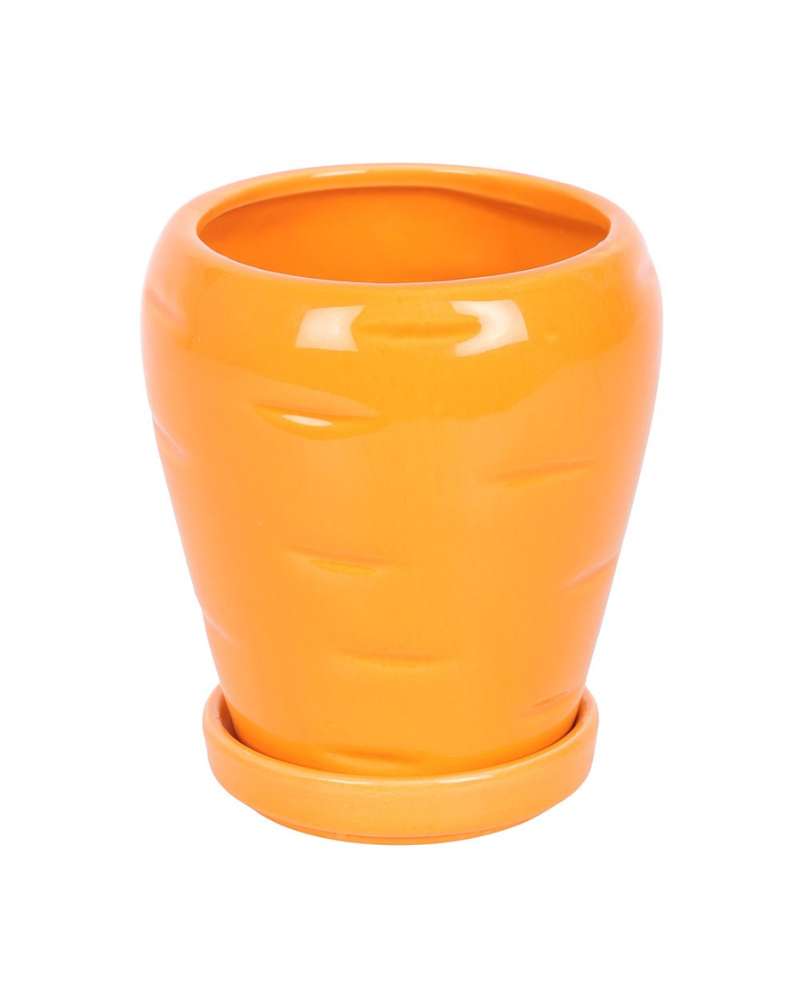 Carrot Shaped Planter With Parsley Seeds