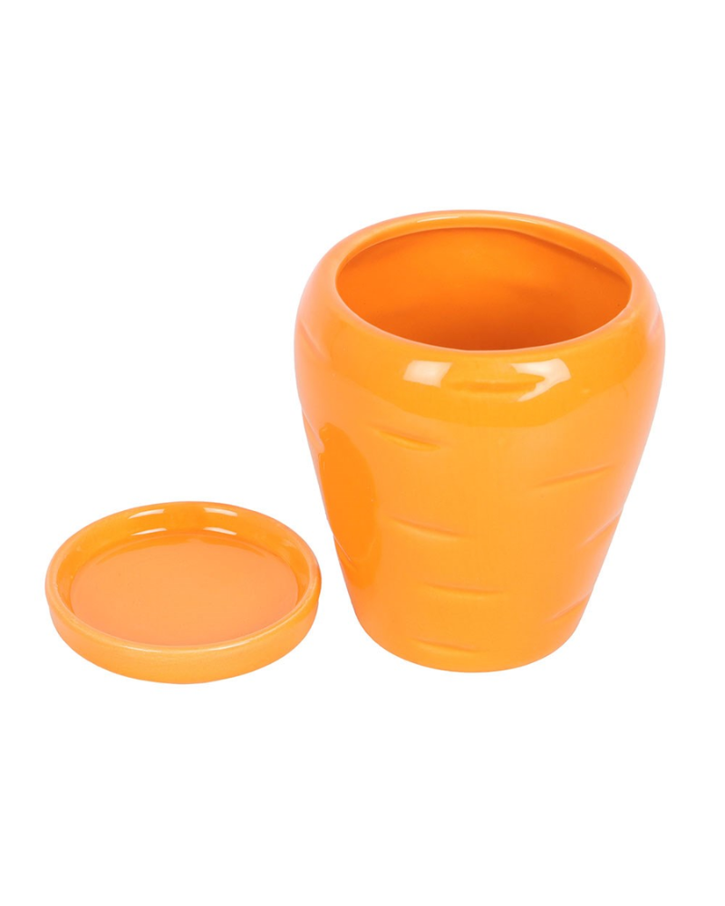 Carrot Shaped Planter With Parsley Seeds