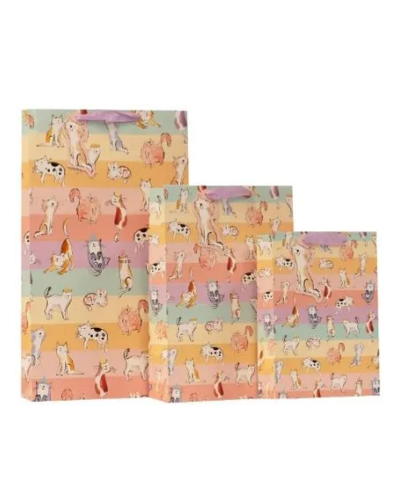 Crazy Cats Party Gift Bag