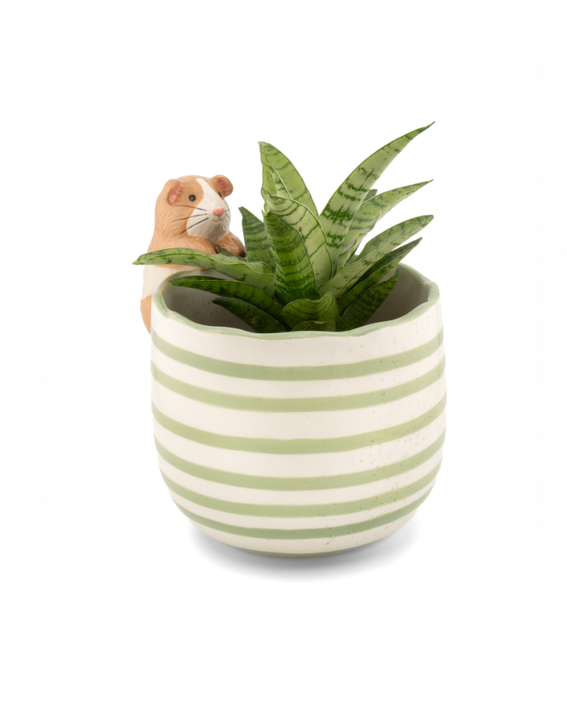 Peeking Guinea Pig Planter