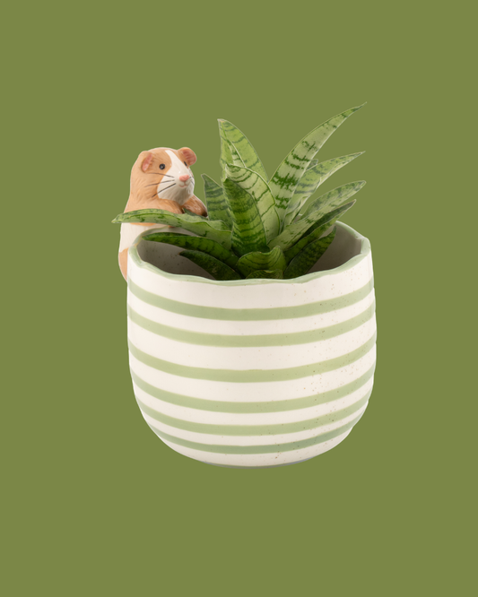 Peeking Guinea Pig Planter