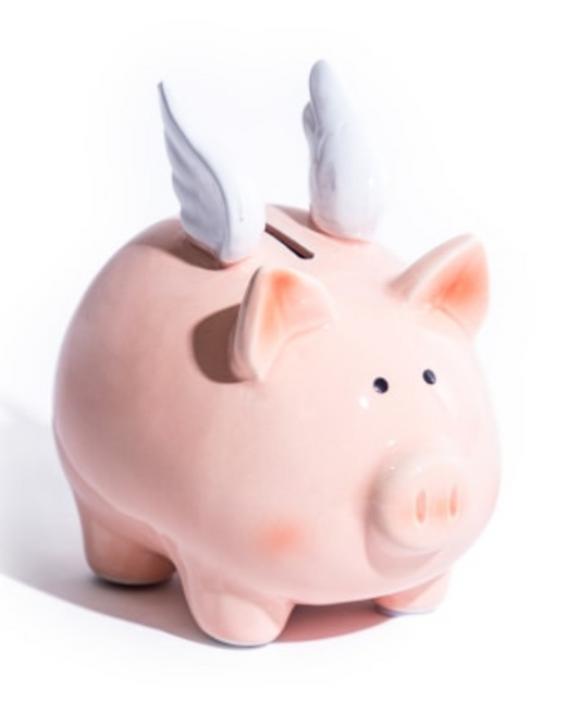 Ceramic Flying Piggy Bank