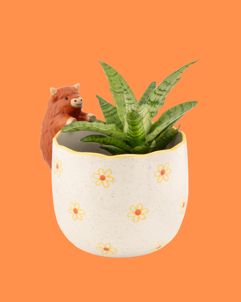 Peeking Highland Cow Planter